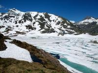 Am Grimselpass