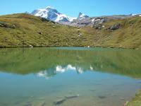 Am Schwarzsee