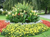 Arbon am Bodensee