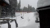 Arosa