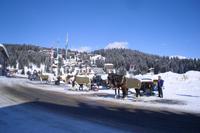 Arosa