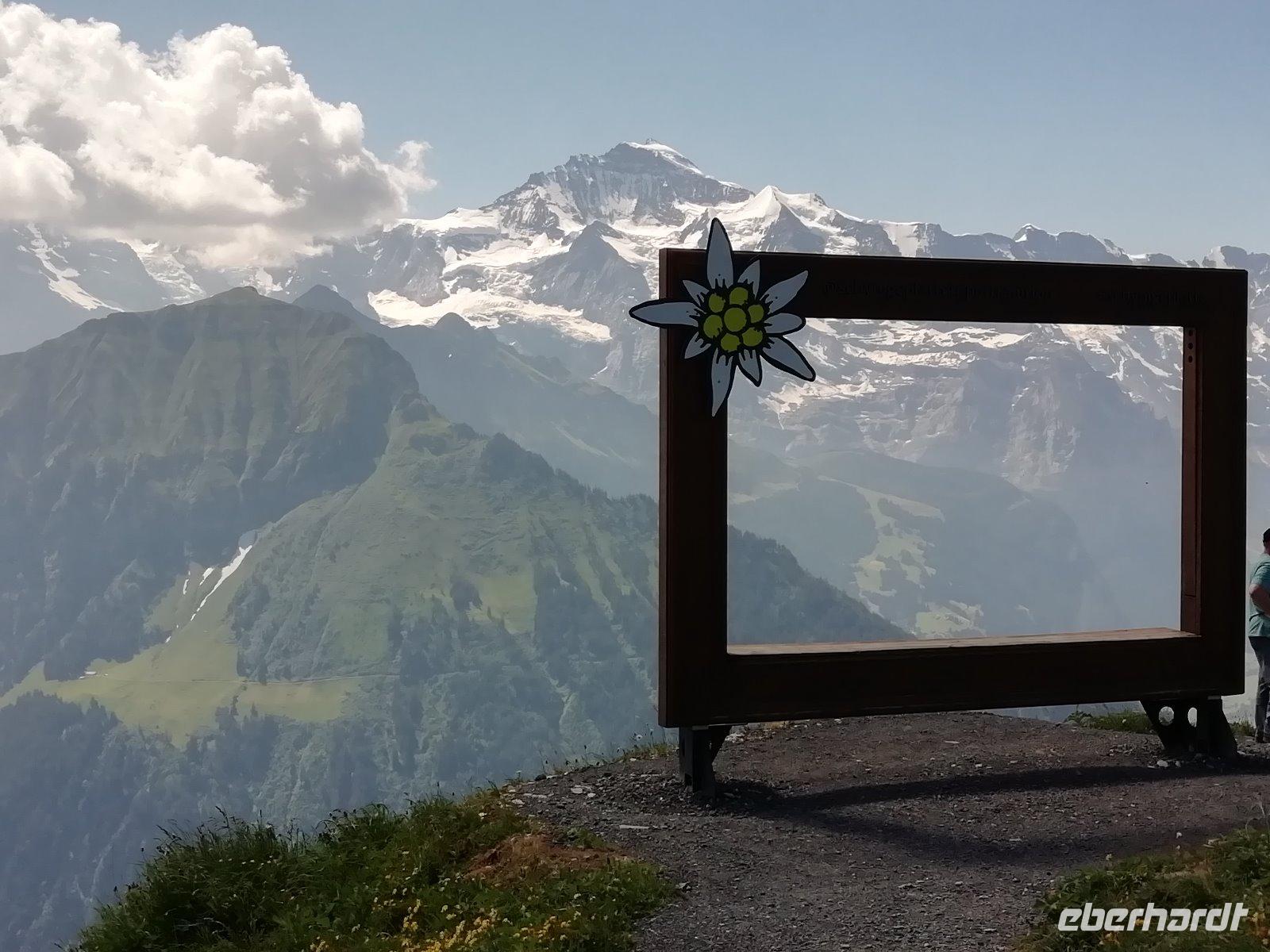 Auf Schynige Platte