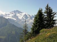 Auf Schynige Platte
