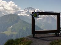 Auf Schynige Platte