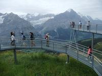 Auf dem First
