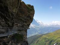 Auf dem First