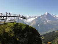 Auf dem First