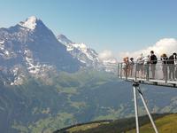 Auf dem First
