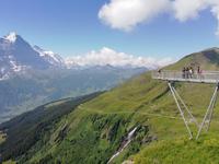 Auf dem First