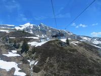 Auf dem First