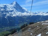 Auf dem First