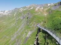 Auf dem First