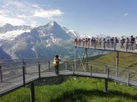 Auf dem First