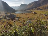 Auf dem Flüelapass 