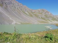 Auf dem Flüelapass 