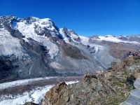 Auf dem Gornergrat