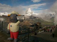 Auf dem Gornergrat