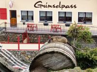 Auf dem Grimselpass