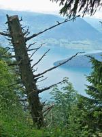 Auf dem Rigi