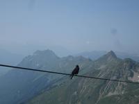 Auf dem Rothorn