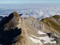 Auf dem Säntis 