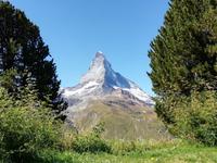 Auf der Riffelalp