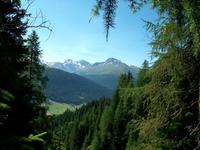Auf der Schatzalp