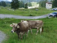 Auf der Schwägalp