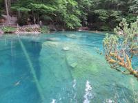 Ausflug zum Blausee