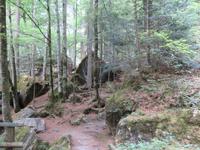 Ausflug zum Blausee