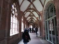 Basel, Stadtführung, Münster