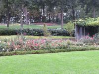Bern - Rosengarten