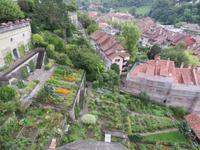 Bern