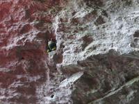 Besuch der Aareschlucht - Tatzelwurm