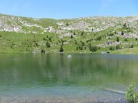 Bettmmersee