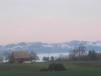 Blick Über den ZÜrichsee