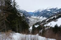 Blick auf Poschiavo