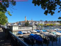 Blick auf Zürich