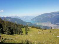 Blick aus der Bahn
