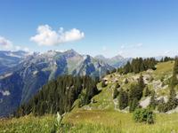Blick aus der Bahn