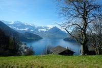 Blick bei der Auffahrt auf den Rigi