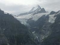 Blick vom First
