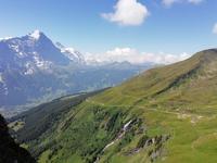 Blick vom First