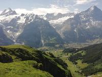 Blick vom First