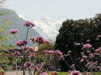 Blick vom Kurpark Interlaken in die Berge