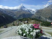 Blick von Sunnegga