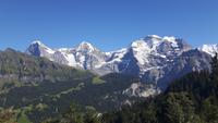 Blick von der Grütschalp auf Eiger, Mönch und Jungfrau