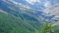 Blick zum Palügletscher