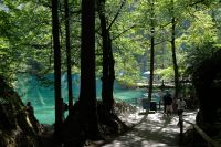 Blick zum See