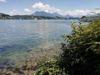 Blick zur Rigi 